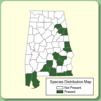 Species Distribution Map