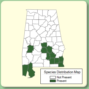 Species Distribution Map