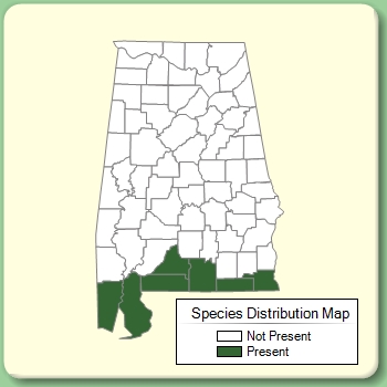 Species Distribution Map