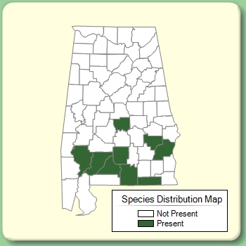 Species Distribution Map