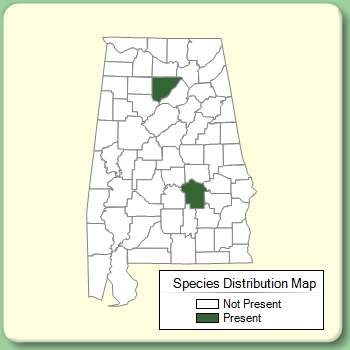 Species Distribution Map