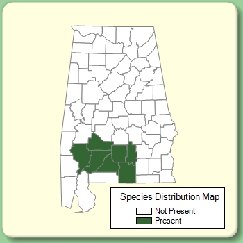 Species Distribution Map