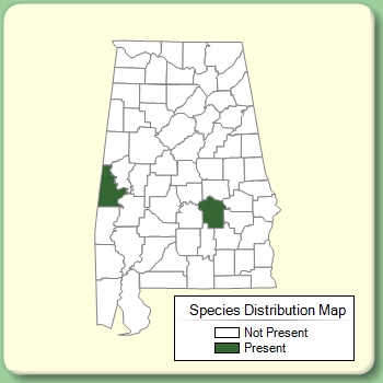 Species Distribution Map