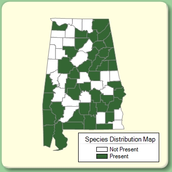 Species Distribution Map