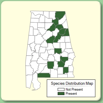 Species Distribution Map