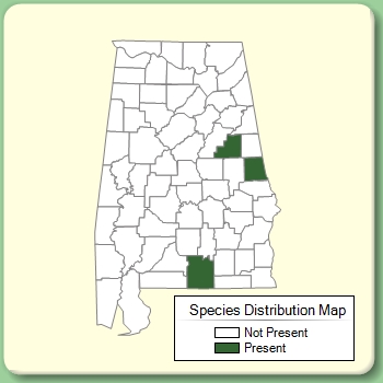 Species Distribution Map