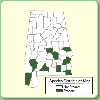 Species Distribution Map