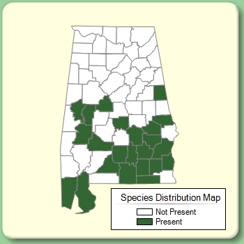 Species Distribution Map