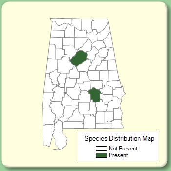 Species Distribution Map