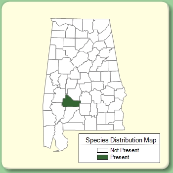 Species Distribution Map