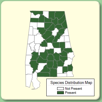 Species Distribution Map