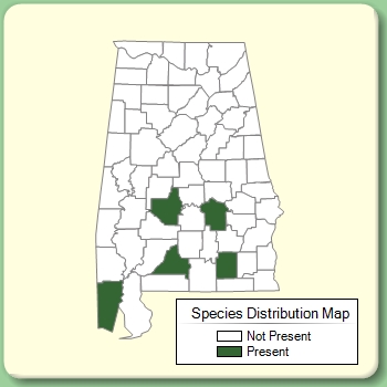 Species Distribution Map