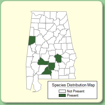 Species Distribution Map