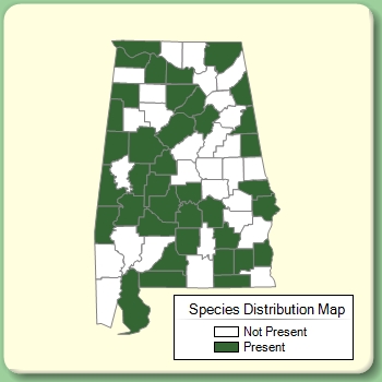 Species Distribution Map