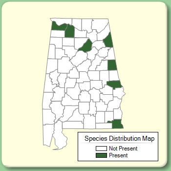 Species Distribution Map