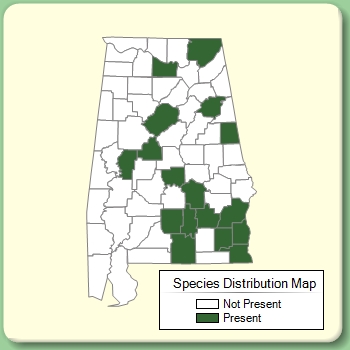 Species Distribution Map