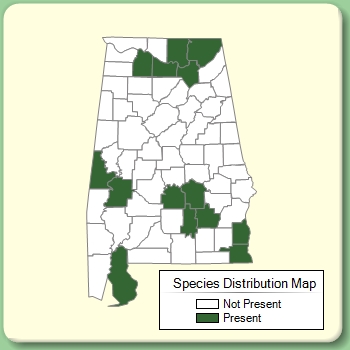 Species Distribution Map