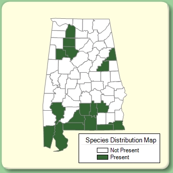 Species Distribution Map