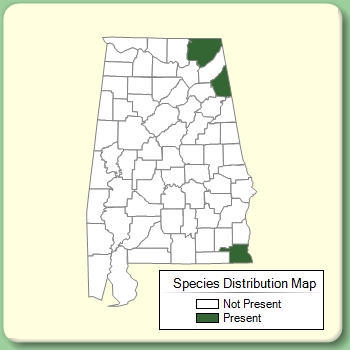 Species Distribution Map