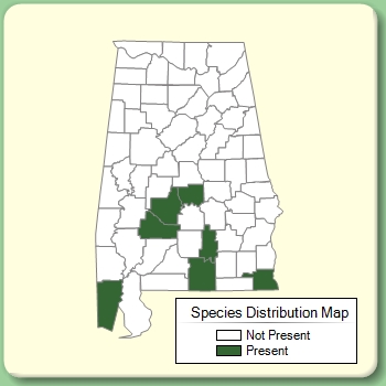 Species Distribution Map