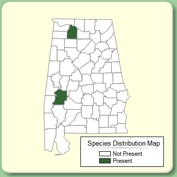 Species Distribution Map