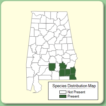 Species Distribution Map