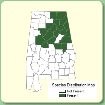 Species Distribution Map