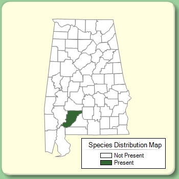 Species Distribution Map