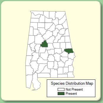 Species Distribution Map