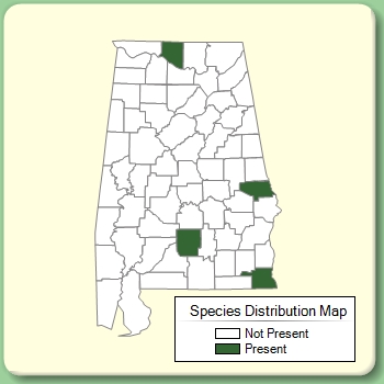 Species Distribution Map