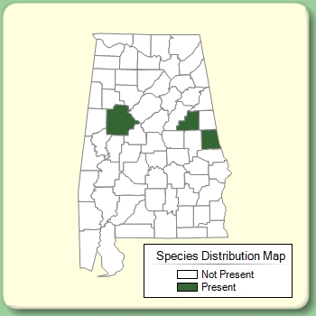 Species Distribution Map