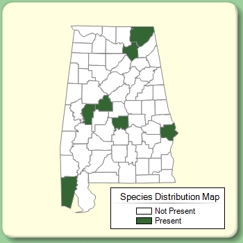 Species Distribution Map