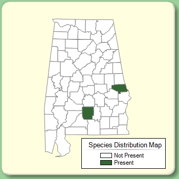 Species Distribution Map