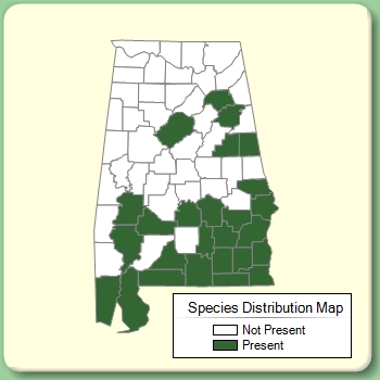 Species Distribution Map