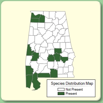 Species Distribution Map