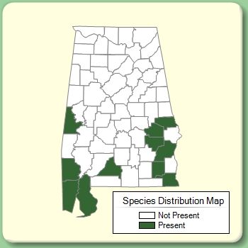 Species Distribution Map