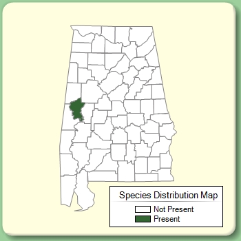 Species Distribution Map