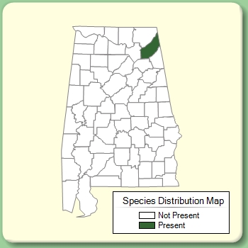 Species Distribution Map