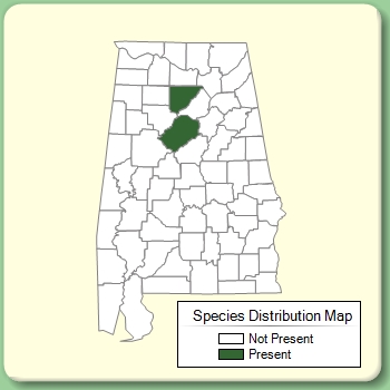 Species Distribution Map