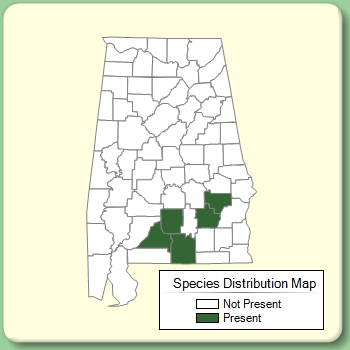 Species Distribution Map