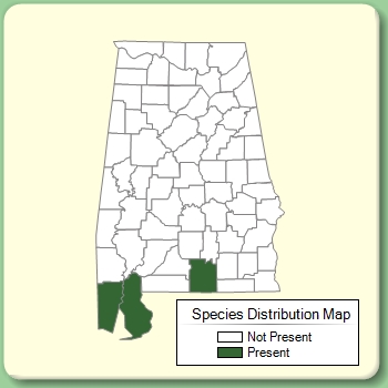 Species Distribution Map