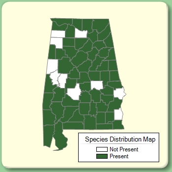 Species Distribution Map