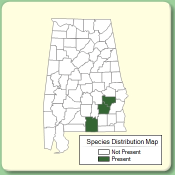 Species Distribution Map