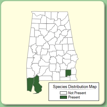 Species Distribution Map