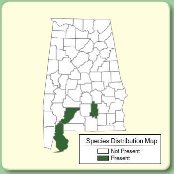 Species Distribution Map