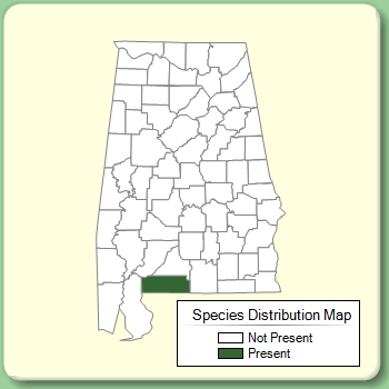 Species Distribution Map