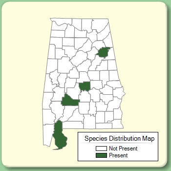 Species Distribution Map