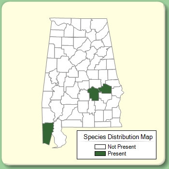 Species Distribution Map