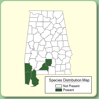 Species Distribution Map