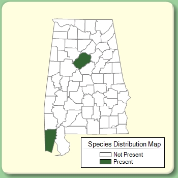 Species Distribution Map